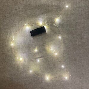 Warm Copper Wire LED String Lights